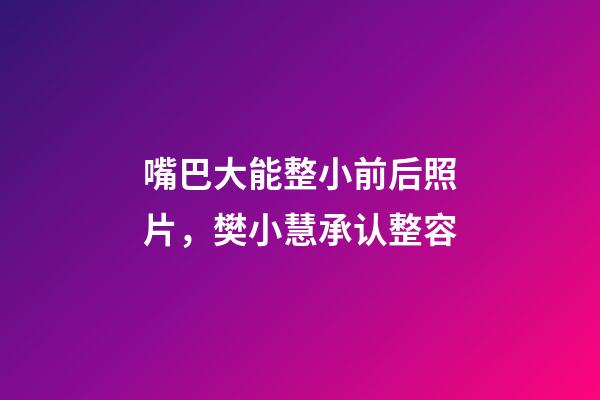 嘴巴大能整小前后照片，樊小慧承认整容-第1张-观点-玄机派