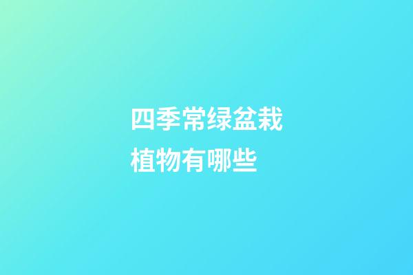 四季常绿盆栽植物有哪些