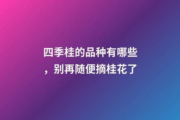 四季桂的品种有哪些，别再随便摘桂花了-第1张-观点-玄机派