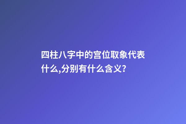 四柱八字中的宫位取象代表什么,分别有什么含义？