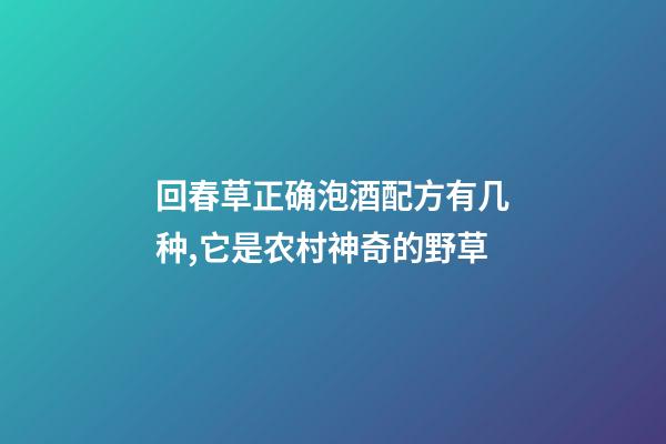 回春草正确泡酒配方有几种,它是农村神奇的野草-第1张-观点-玄机派