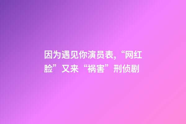 因为遇见你演员表,“网红脸”又来“祸害”刑侦剧-第1张-观点-玄机派