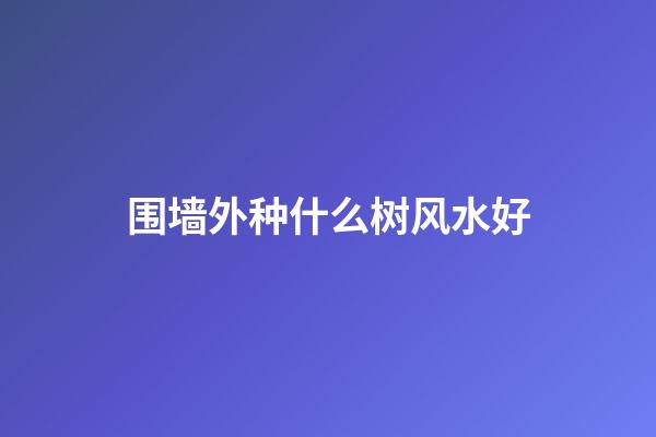 围墙外种什么树风水好