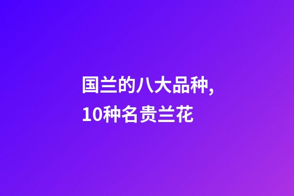 国兰的八大品种,10种名贵兰花-第1张-观点-玄机派