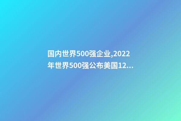 国内世界500强企业,2022年世界500强公布美国124家-第1张-观点-玄机派