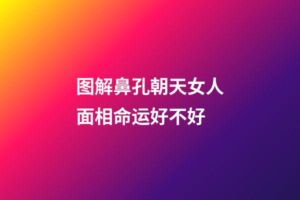 图解鼻孔朝天女人面相命运好不好