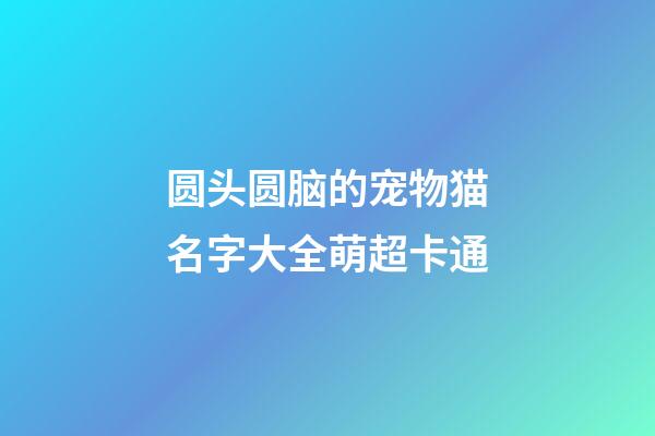 圆头圆脑的宠物猫名字大全萌超卡通