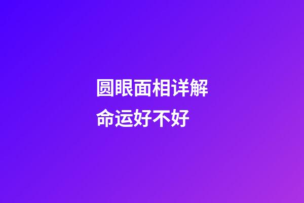 圆眼面相详解命运好不好