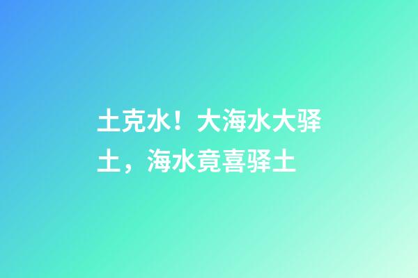 土克水！大海水大驿土，海水竟喜驿土