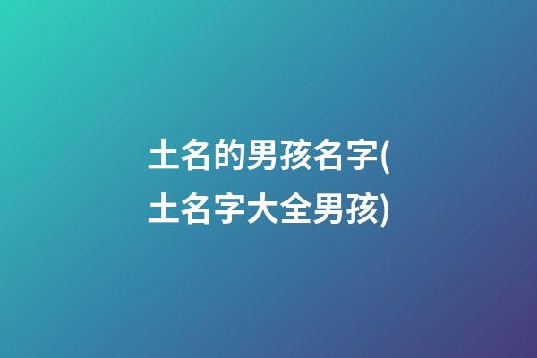 土名的男孩名字(土名字大全男孩)