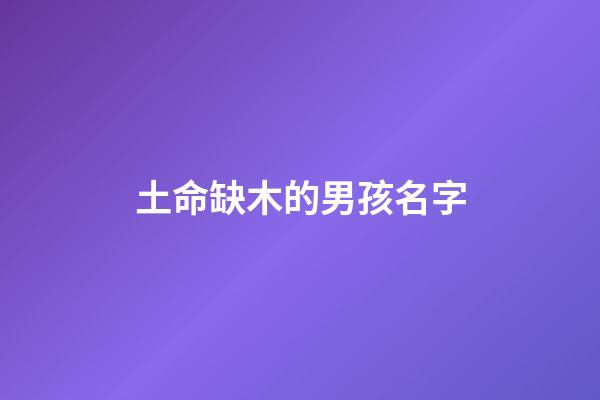土命缺木的男孩名字(缺土缺木的男孩洋气名字)-第1张-男孩起名-玄机派