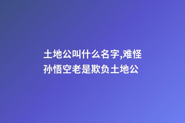 土地公叫什么名字,难怪孙悟空老是欺负土地公-第1张-观点-玄机派