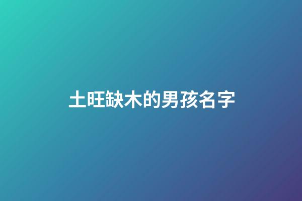 土旺缺木的男孩名字(属土缺木的名字男孩)-第1张-男孩起名-玄机派