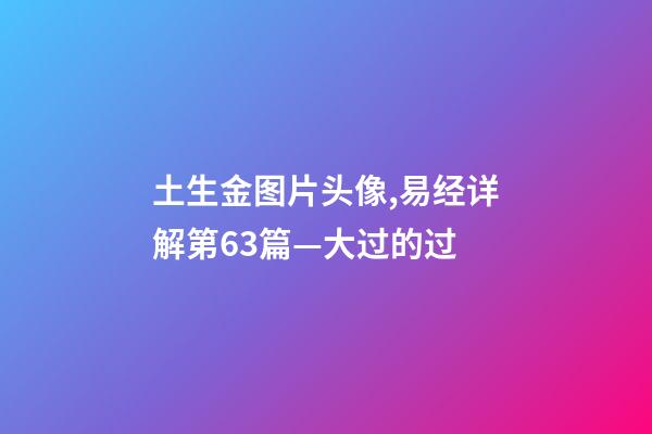 土生金图片头像,易经详解第63篇—大过的过-第1张-观点-玄机派