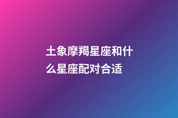 土象摩羯星座和什么星座配对合适-第1张-星座运势-玄机派