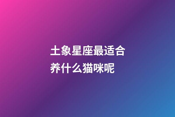 土象星座最适合养什么猫咪呢-第1张-星座运势-玄机派