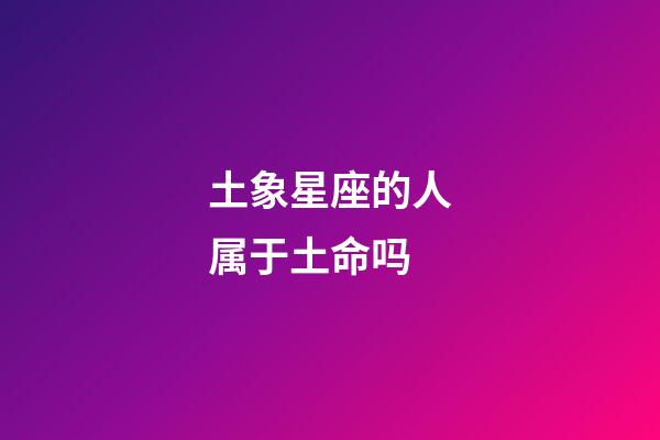 土象星座的人属于土命吗-第1张-星座运势-玄机派