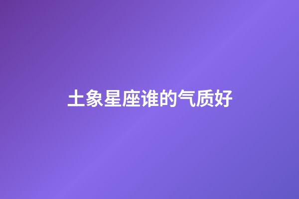 土象星座谁的气质好-第1张-星座运势-玄机派