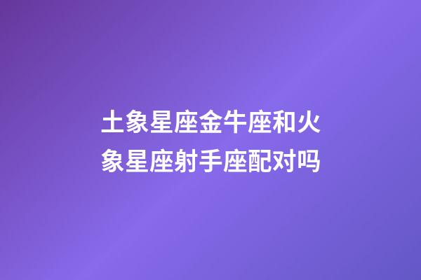 土象星座金牛座和火象星座射手座配对吗-第1张-星座运势-玄机派
