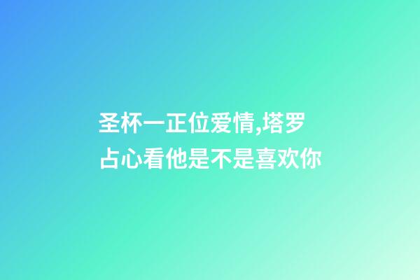 圣杯一正位爱情,塔罗占心看他是不是喜欢你-第1张-观点-玄机派