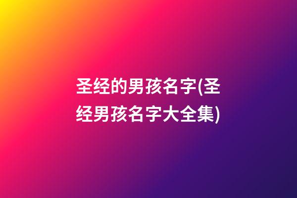 圣经的男孩名字(圣经男孩名字大全集)