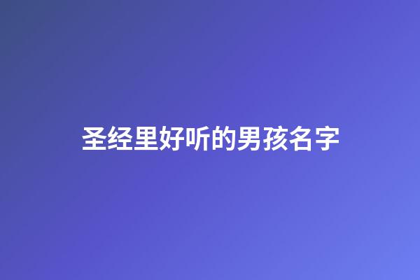 圣经里好听的男孩名字(圣经上的男孩名字)-第1张-男孩起名-玄机派