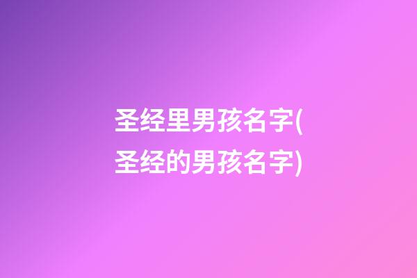 圣经里男孩名字(圣经的男孩名字)