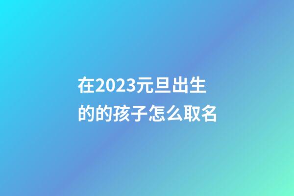 在2023元旦出生的的孩子怎么取名