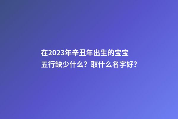 在2023年辛丑年出生的宝宝五行缺少什么？取什么名字好？