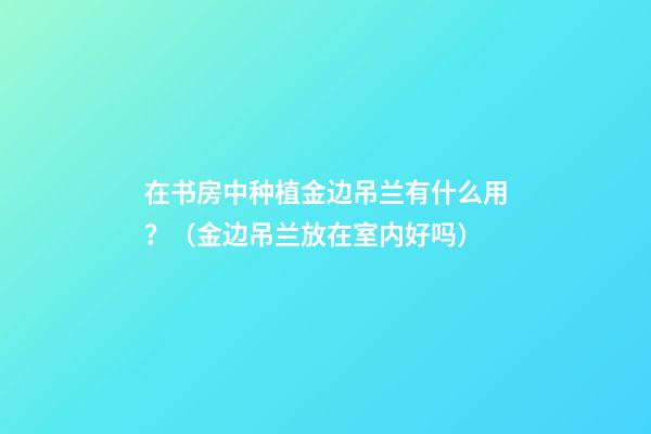 在书房中种植金边吊兰有什么用？（金边吊兰放在室内好吗）