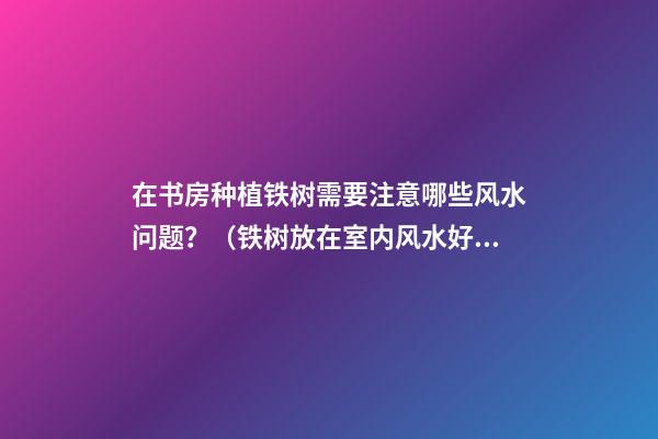 在书房种植铁树需要注意哪些风水问题？（铁树放在室内风水好吗）