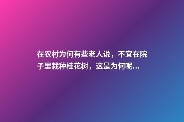 在农村为何有些老人说，不宜在院子里栽种桂花树，这是为何呢？