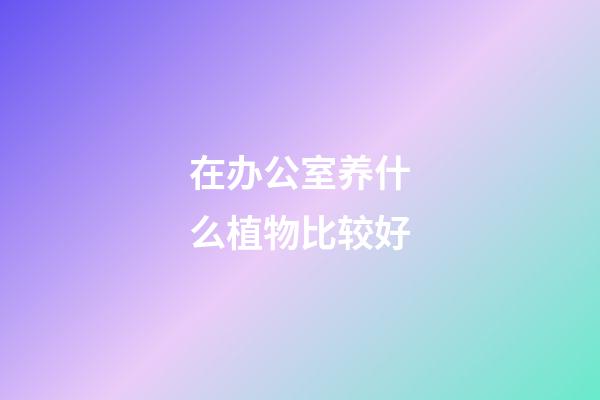 在办公室养什么植物比较好?