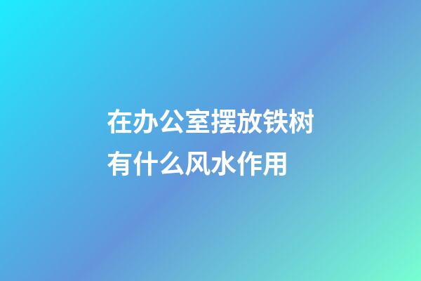 在办公室摆放铁树有什么风水作用