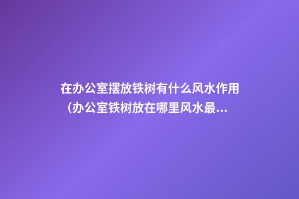 在办公室摆放铁树有什么风水作用（办公室铁树放在哪里风水最好）