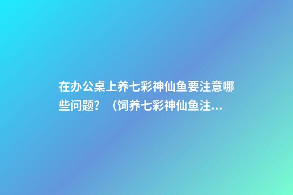 在办公桌上养七彩神仙鱼要注意哪些问题？（饲养七彩神仙鱼注意什么）