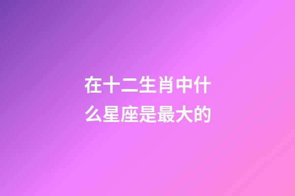 在十二生肖中什么星座是最大的-第1张-星座运势-玄机派