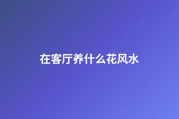 在客厅养什么花风水