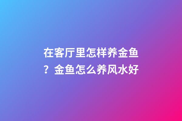 在客厅里怎样养金鱼？金鱼怎么养风水好