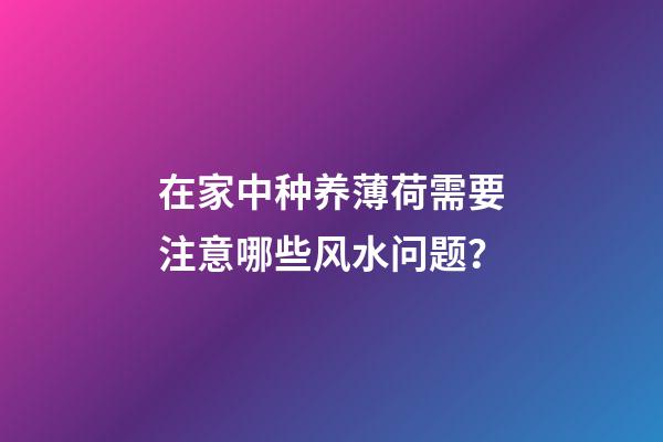 在家中种养薄荷需要注意哪些风水问题？