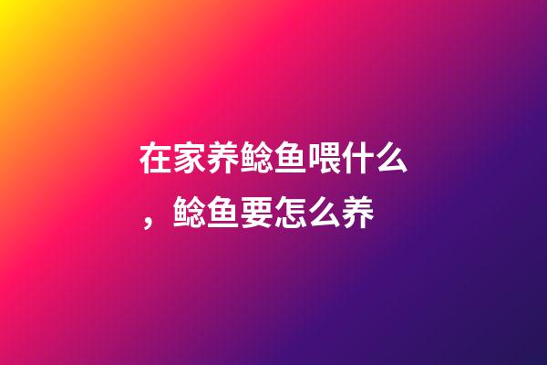 在家养鲶鱼喂什么，鲶鱼要怎么养-第1张-观点-玄机派