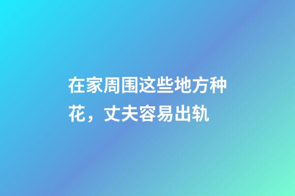 在家周围这些地方种花，丈夫容易出轨