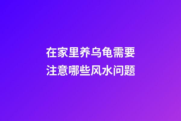 在家里养乌龟需要注意哪些风水问题