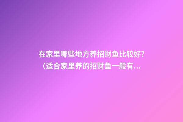 在家里哪些地方养招财鱼比较好？（适合家里养的招财鱼一般有哪些）