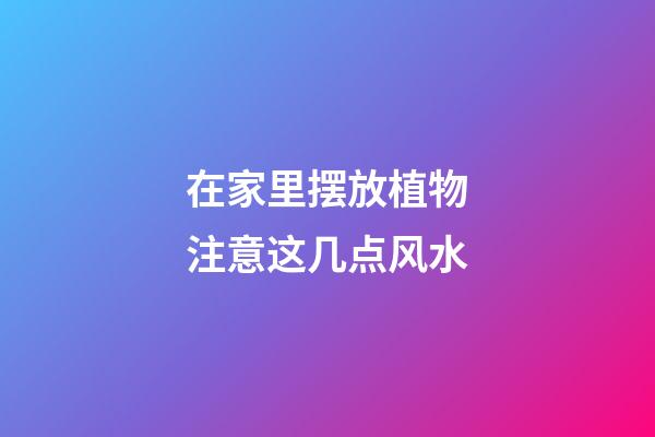 在家里摆放植物注意这几点风水