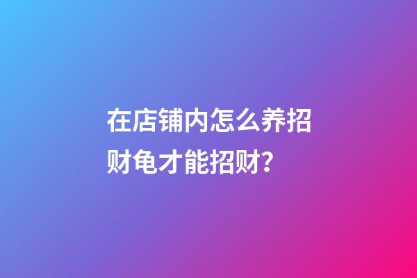 在店铺内怎么养招财龟才能招财？