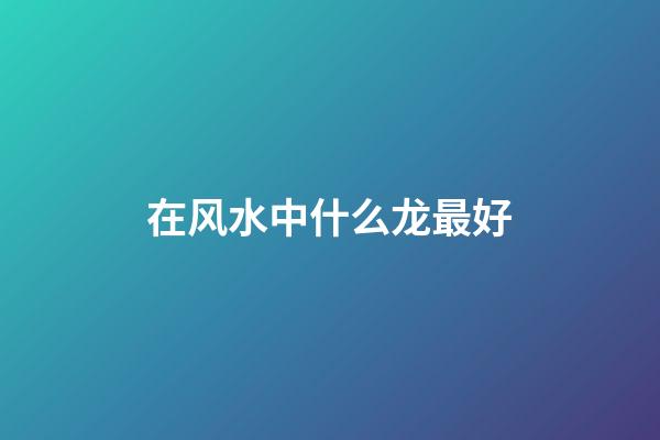 在风水中什么龙最好