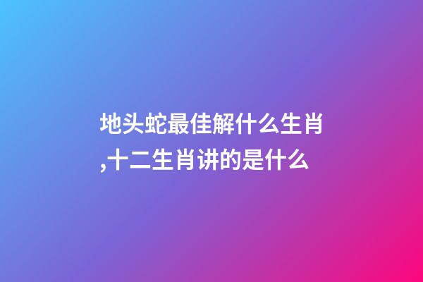 地头蛇最佳解什么生肖,十二生肖讲的是什么-第1张-观点-玄机派