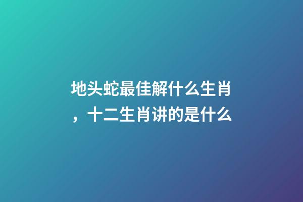地头蛇最佳解什么生肖，十二生肖讲的是什么-第1张-观点-玄机派