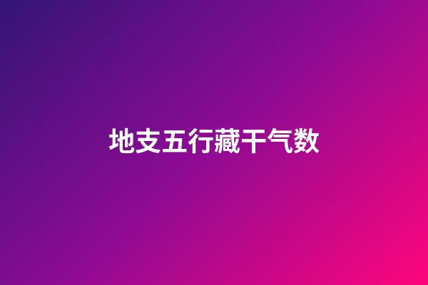 地支五行藏干气数